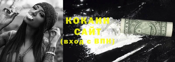 кокс Арсеньев