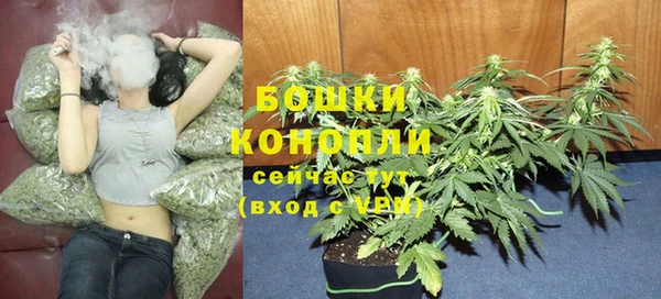 кокс Арсеньев
